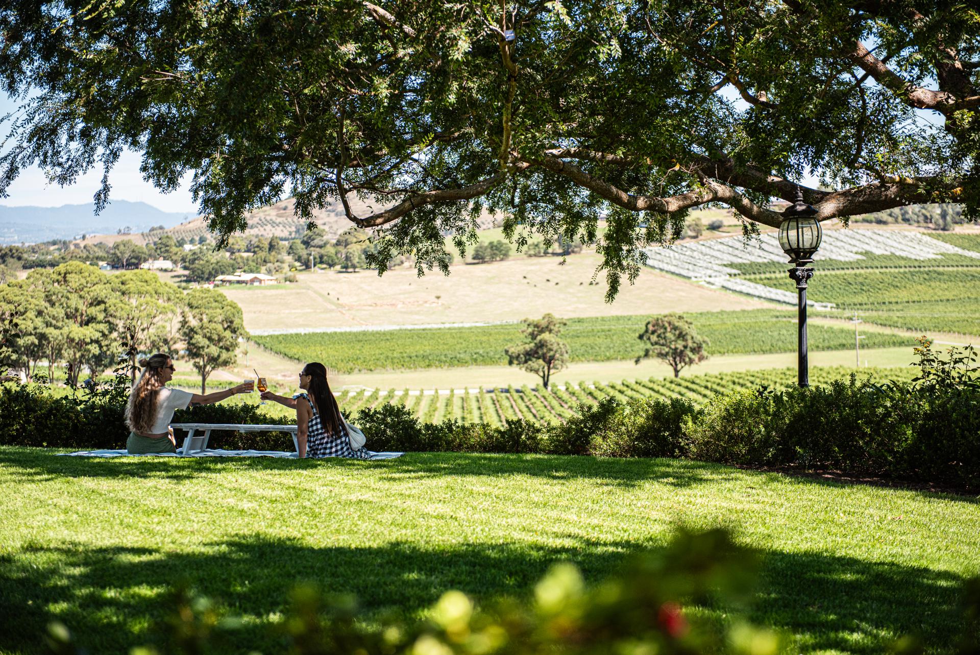 De Bortoli Wines