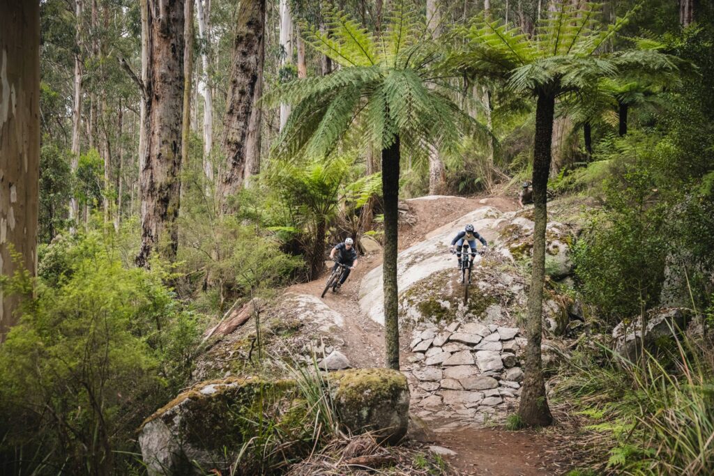Warburton-Bike-Park