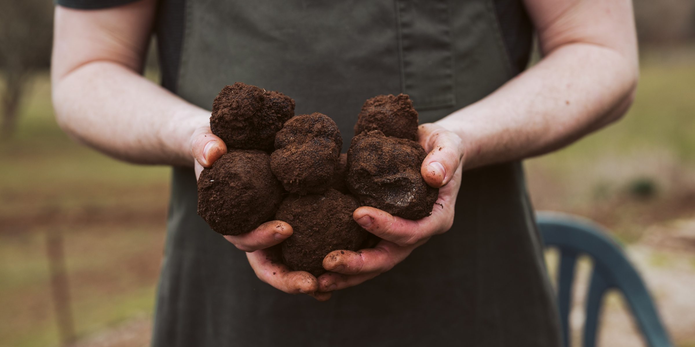 Yarra Valley Truffles