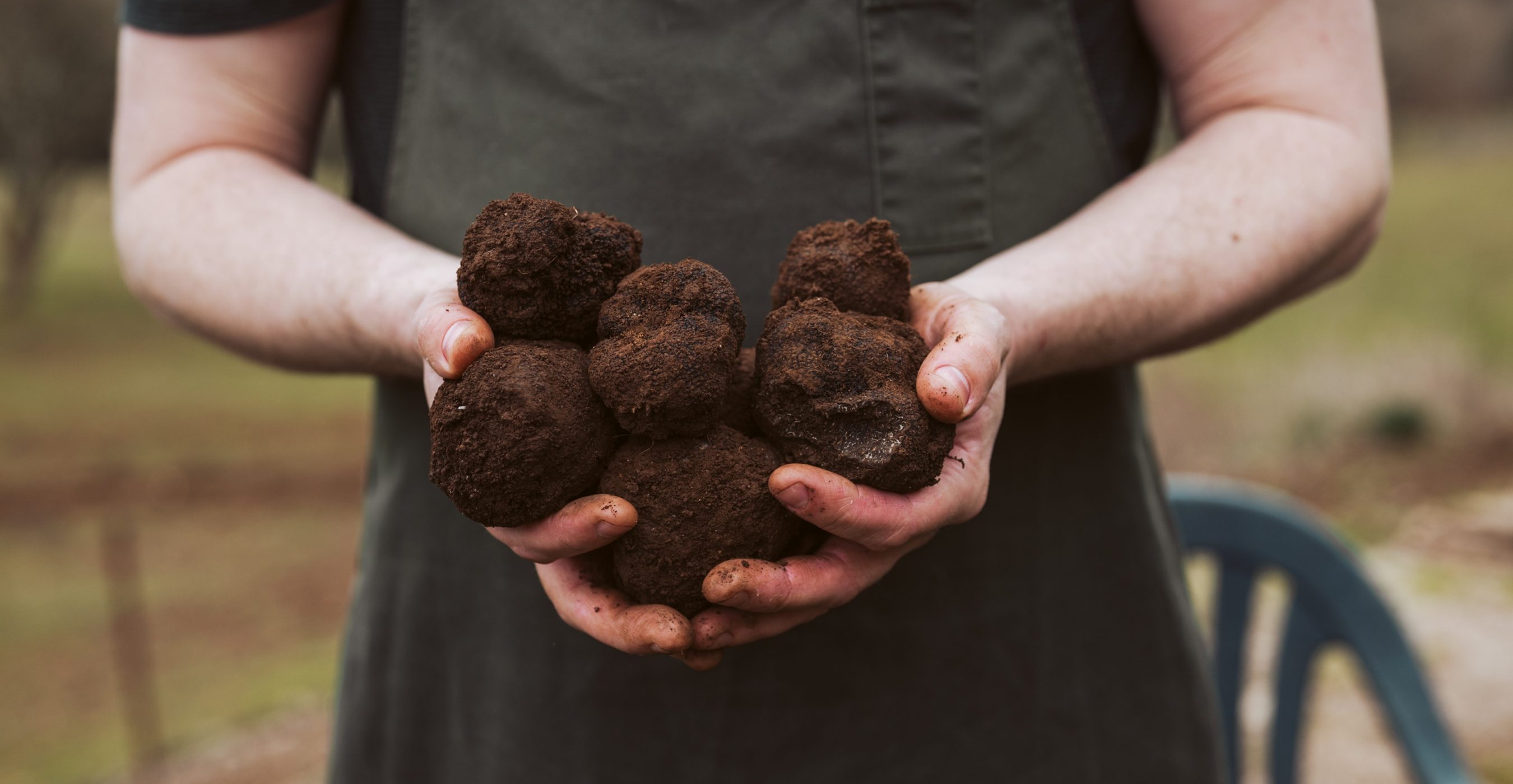 Yarra Valley Truffles