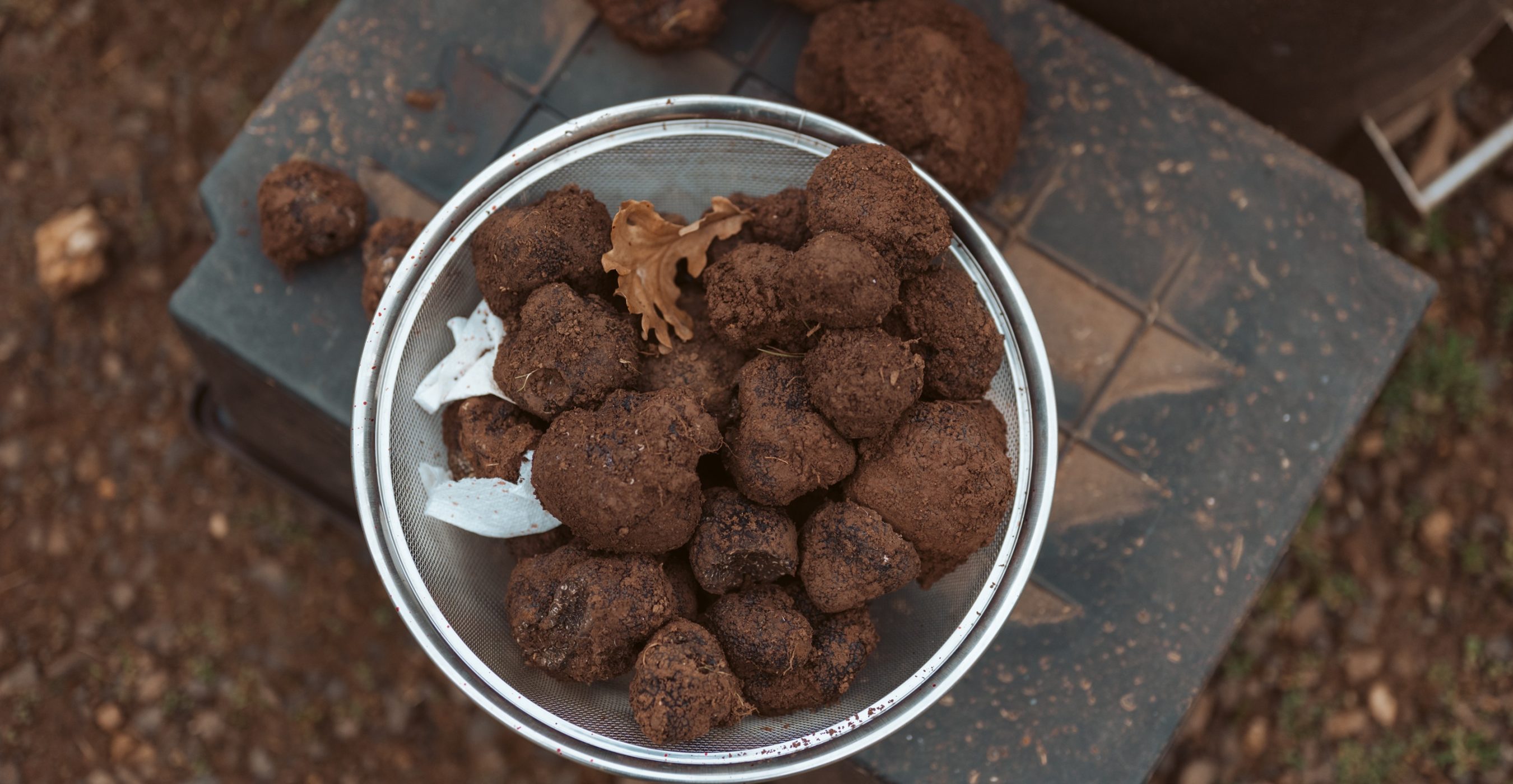 Yarra Valley Truffle Dinner | 31 July 2026 - Image 2
